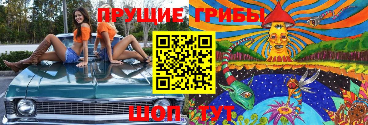 где продают   Псилоцибиновые грибы ЛСД  Вход с VPN  Домодедово 