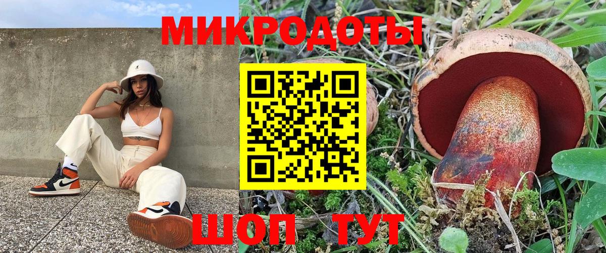 Галлюциногенные грибы Psilocybe Домодедово